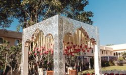 2e70b984-25a9-48ad-b47f-6e08bdc3895c